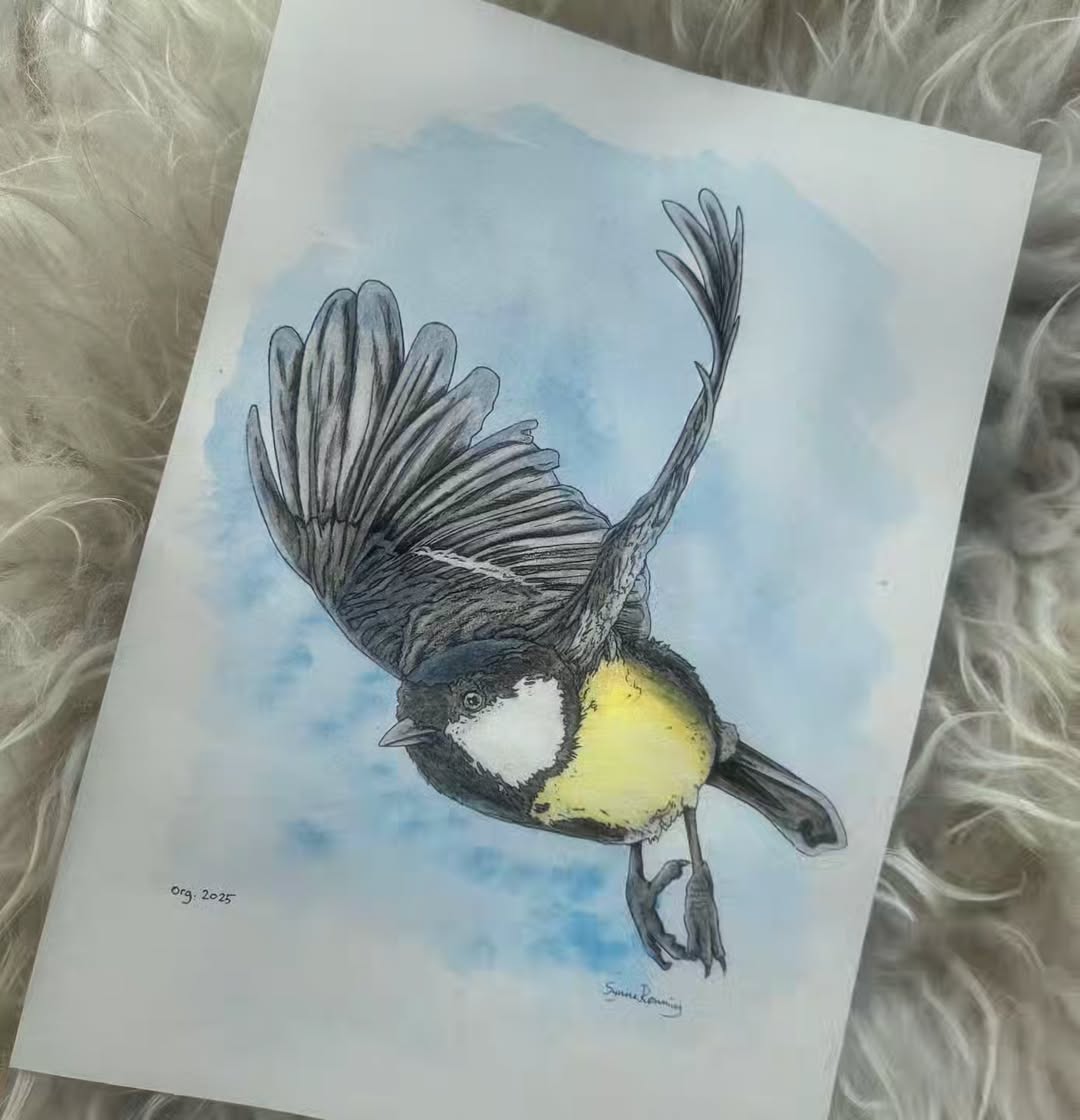 Akvarell - Frie vinger